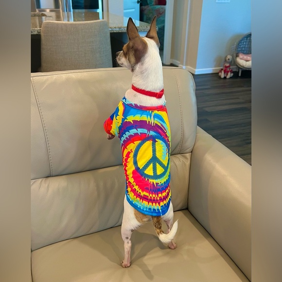 Petco Other - Dog Cat Halloween Costume 2 pc 70s Bootique Pet Costume Set Size XSmall